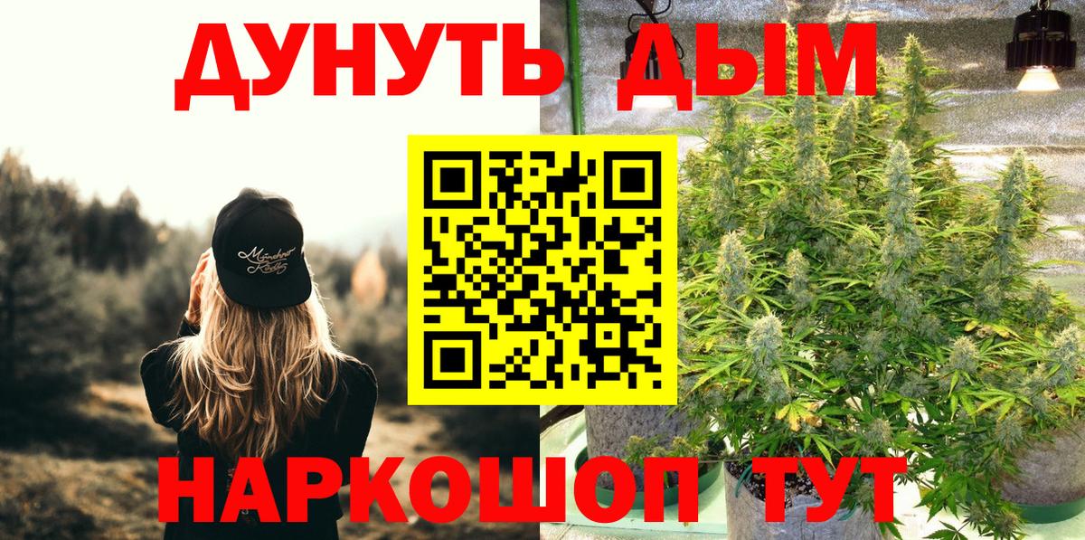 Шишки марихуана Bruce Banner  Каннабис планчик  Омск  Вход с VPN  МАРИХУАНА сатива 